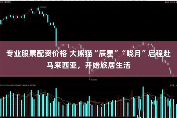 专业股票配资价格 大熊猫“辰星”“晓月”启程赴马来西亚，开始旅居生活