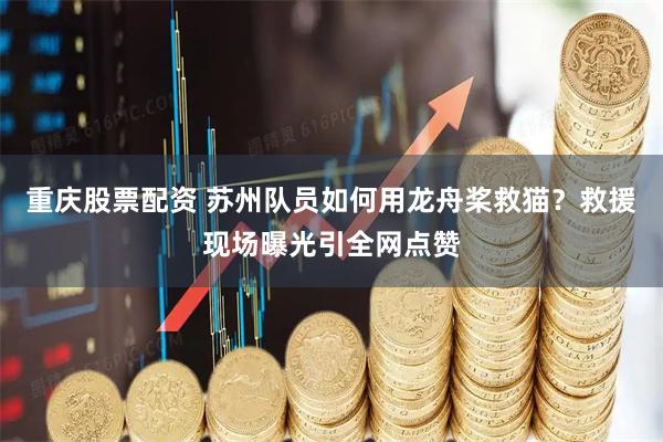 重庆股票配资 苏州队员如何用龙舟桨救猫？救援现场曝光引全网点赞
